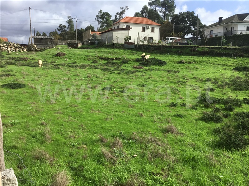 Terreno para Construção  Penafiel, Irivo - 1038075 - 2