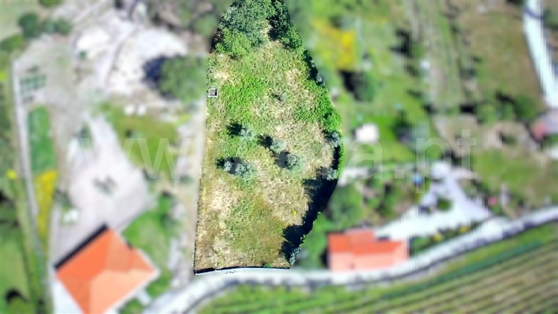 Terreno  Penafiel, Rio de Moinhos - 1411191 - 2