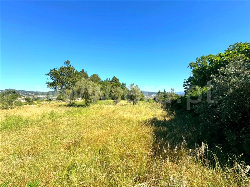 Terreno  Penafiel, Rio de Moinhos - 1411191 - 3