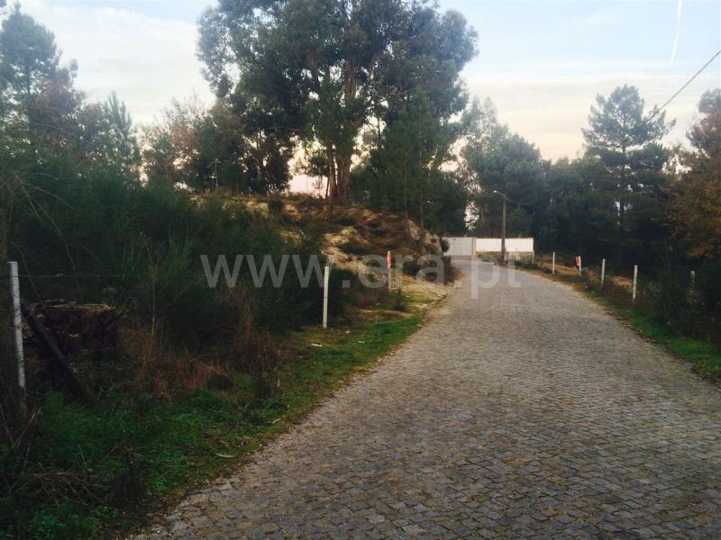 Terreno para Construção  Penafiel, S.Martinho Recesinhos - 617500 - 5