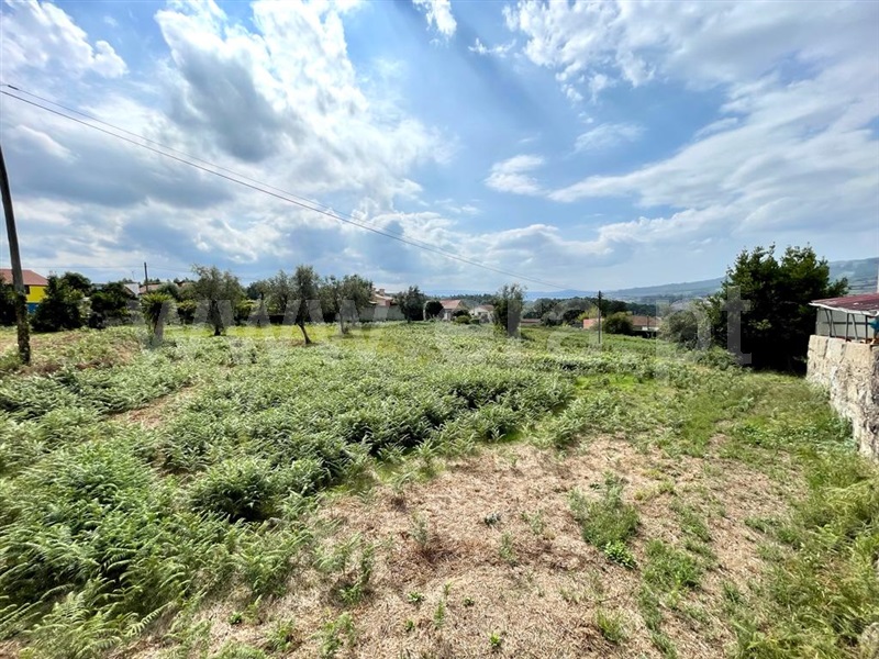 Terreno para Construção  com Rústico Penafiel, Termas de São Vicente - 1217944 - 3