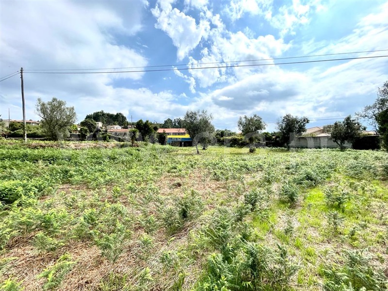 Terreno para Construção  com Rústico Penafiel, Termas de São Vicente - 1217944 - 5