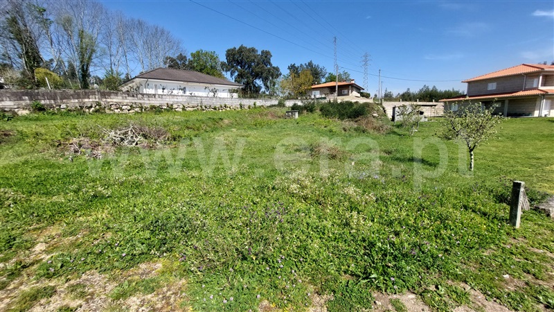 Terreno para Construção  Penafiel, Termas de São Vicente - 1471062 - 3
