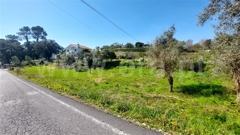 Terreno para Construção  Penafiel, Termas de São Vicente - 1471074 - 3