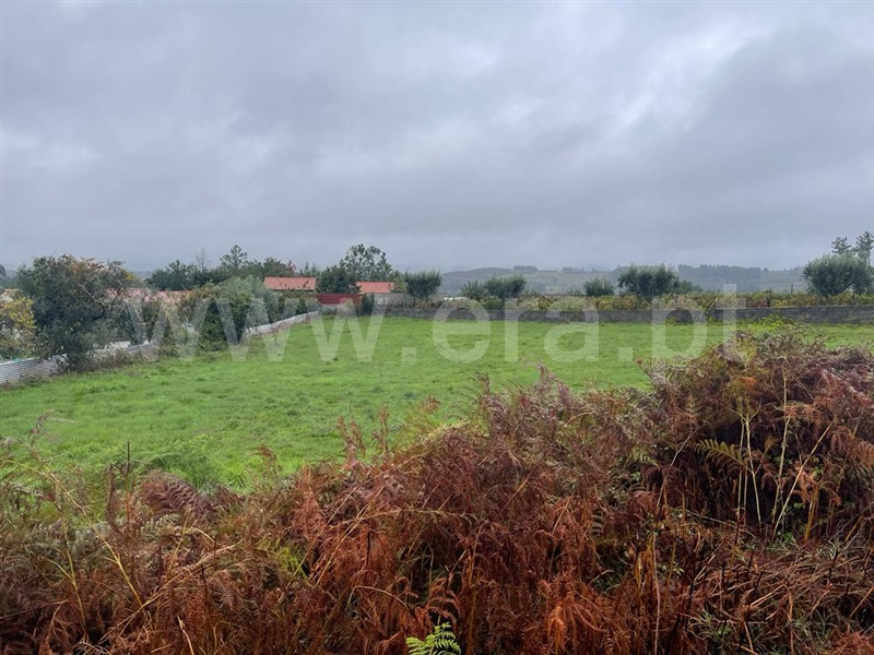 Terreno  Penalva do Castelo, Sezures - 1363155 - 3