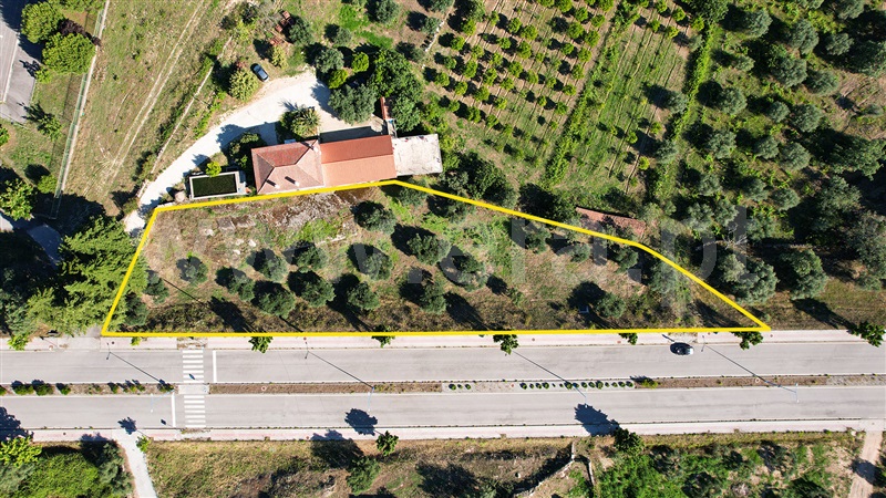 Terreno para Construção / Penamacor, Penamacor