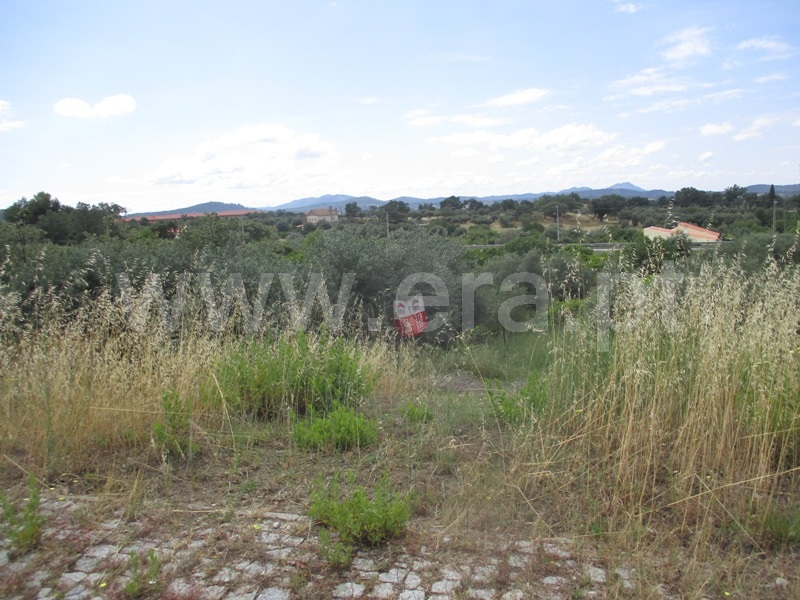 Terreno para Construção  Penamacor, Penamacor - 1333203 - 5