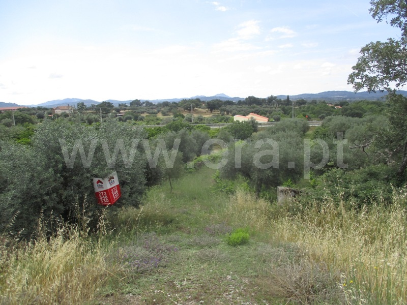 Terreno para Construção  Penamacor, Penamacor - 1333203 - 6