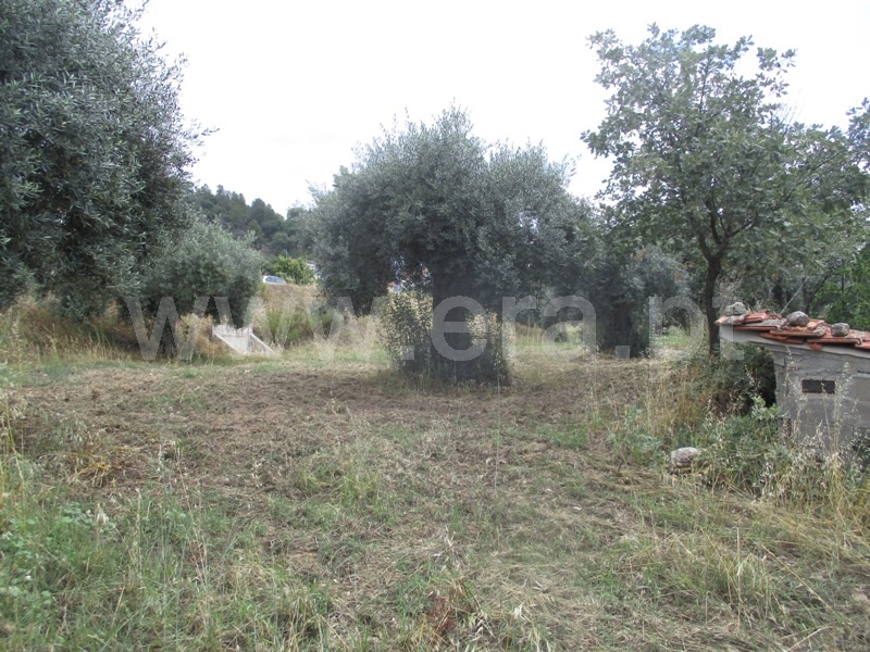 Terreno para Construção  Penamacor, Penamacor - 1333203 - 7