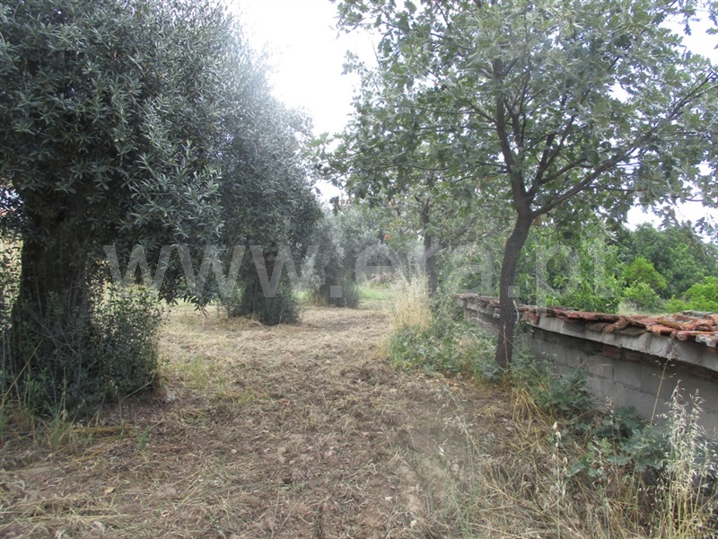 Terreno para Construção  Penamacor, Penamacor - 1333203 - 8