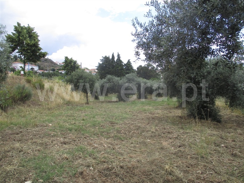 Terreno para Construção  Penamacor, Penamacor - 1333203 - 9