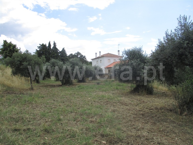 Terreno para Construção  Penamacor, Penamacor - 1333203 - 10