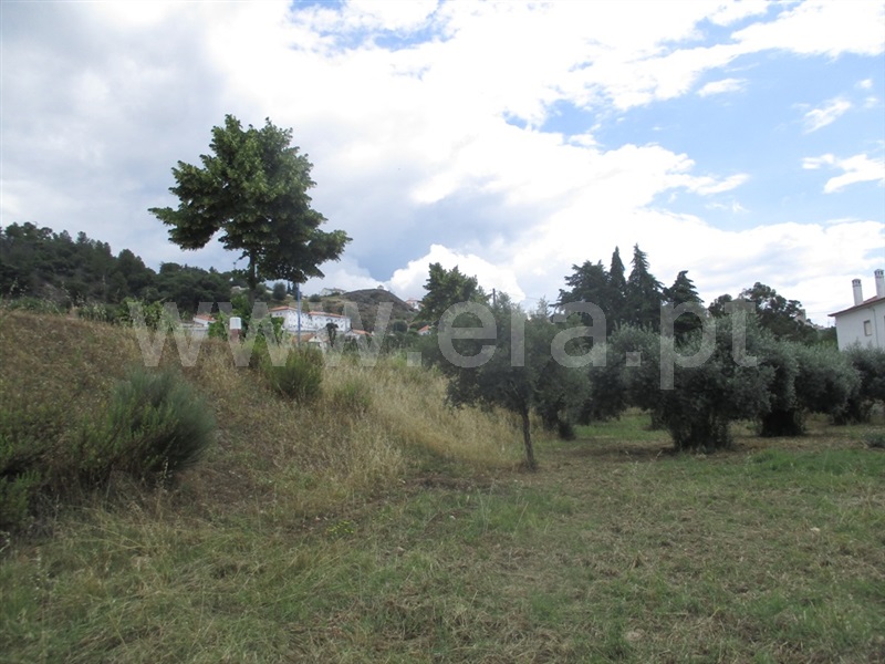 Terreno para Construção  Penamacor, Penamacor - 1333203 - 11