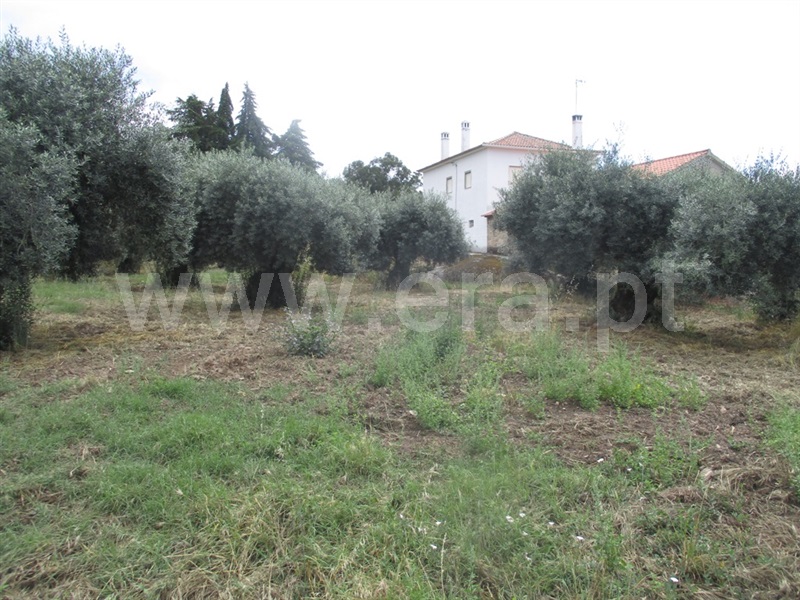 Terreno para Construção  Penamacor, Penamacor - 1333203 - 12