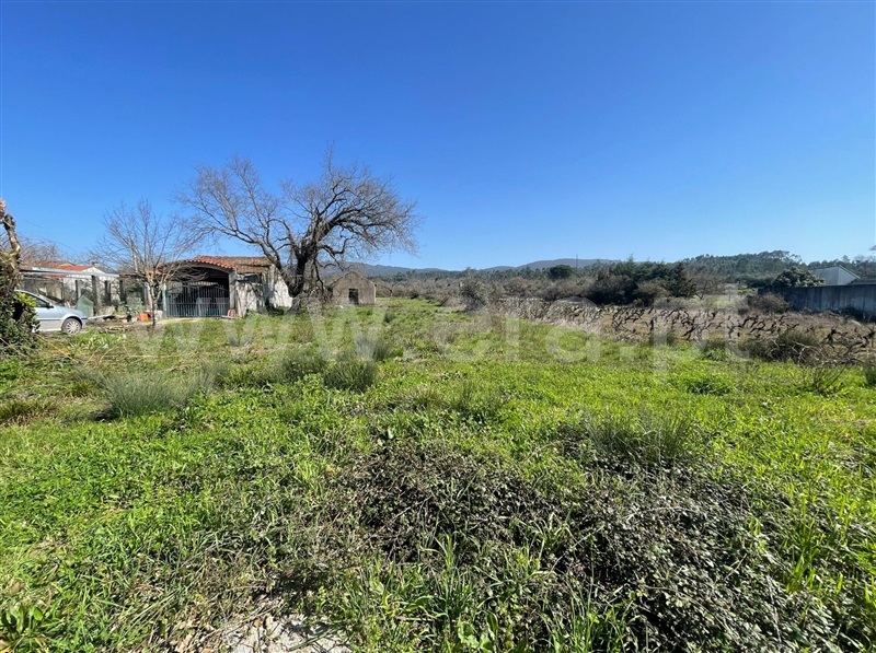Terreno para Construção / Penela, Penela