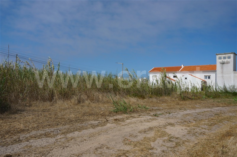 Terreno para Construção  Peniche, Baleal - 1487945 - 3