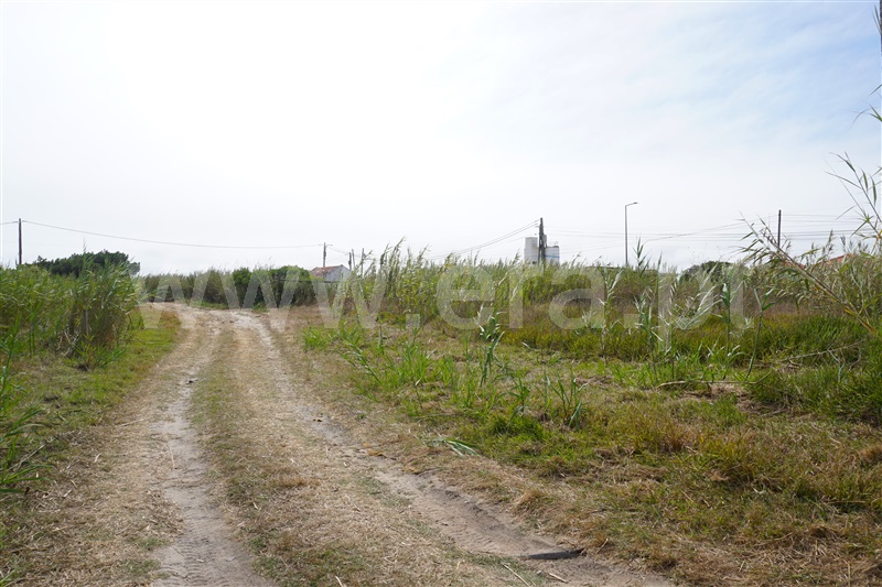 Terreno para Construção  Peniche, Baleal - 1487945 - 5