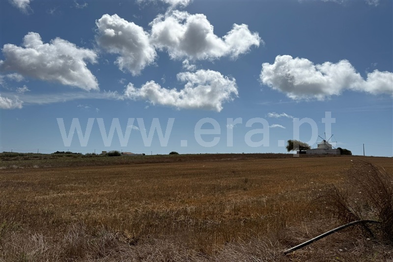 Terreno para Construção  Peniche, Bufarda - 1503769 - 5