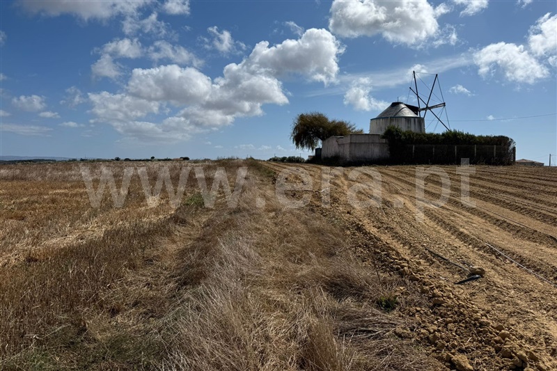 Terreno para Construção  Peniche, Bufarda - 1503769 - 8