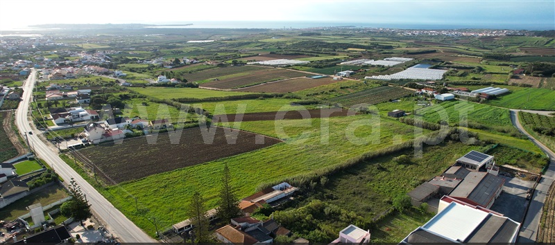 Terreno para Construção / Peniche, Coimbrã