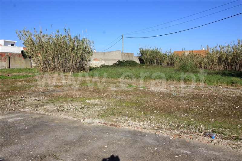 Terreno para Construção  Peniche, Geraldes - 1371066 - 11