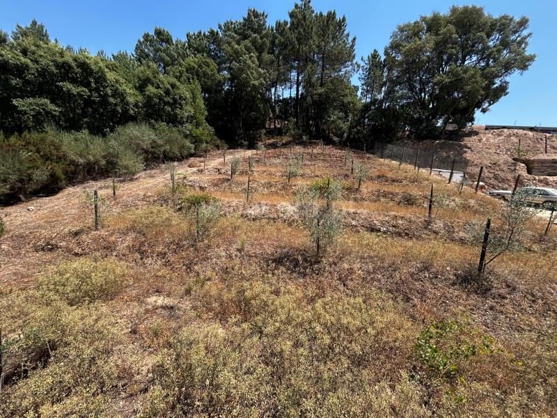 Terreno para Construção / Peso da Régua, Galafura e Covelinhas