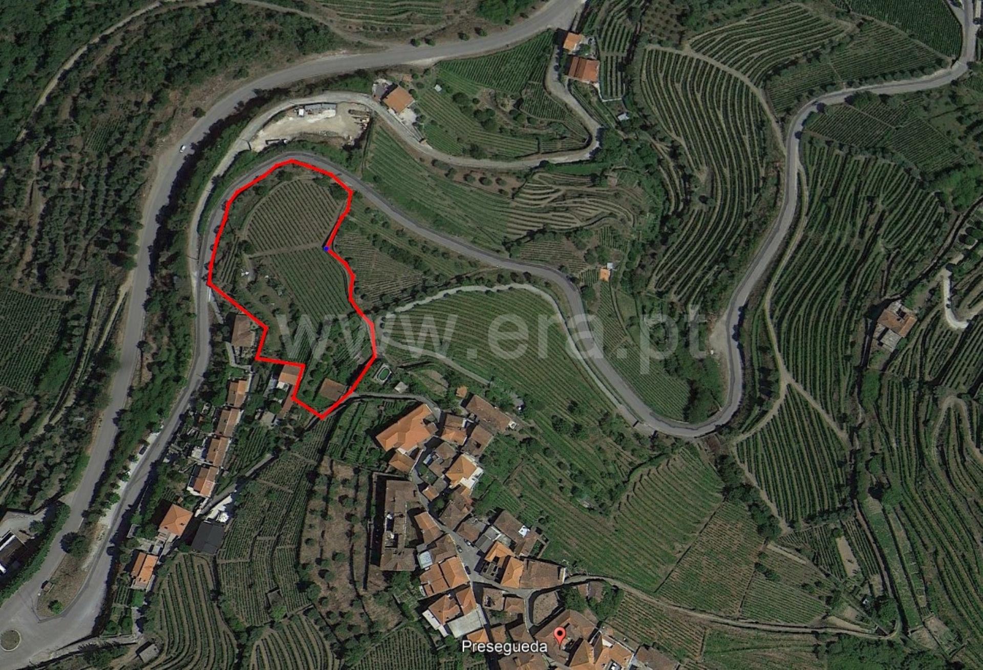 Land for sale in Peso da Régua, Portugal — €147,000