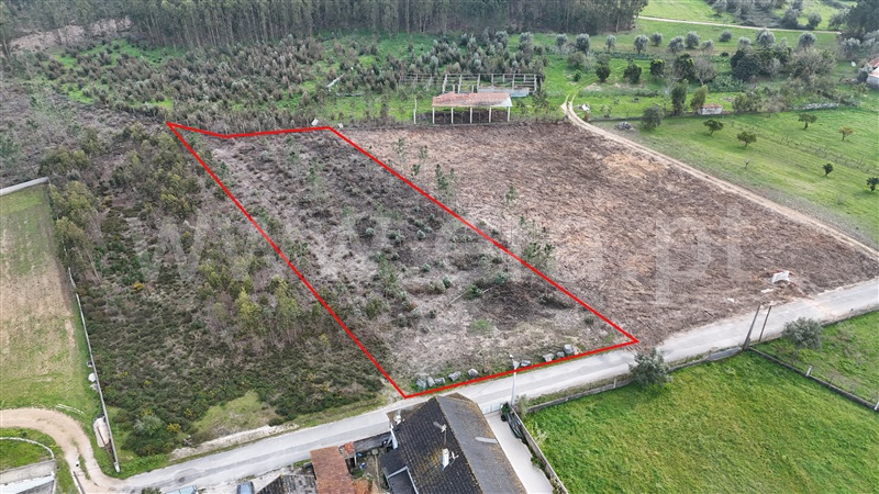 Terreno para Construção / Pombal, Almagreira