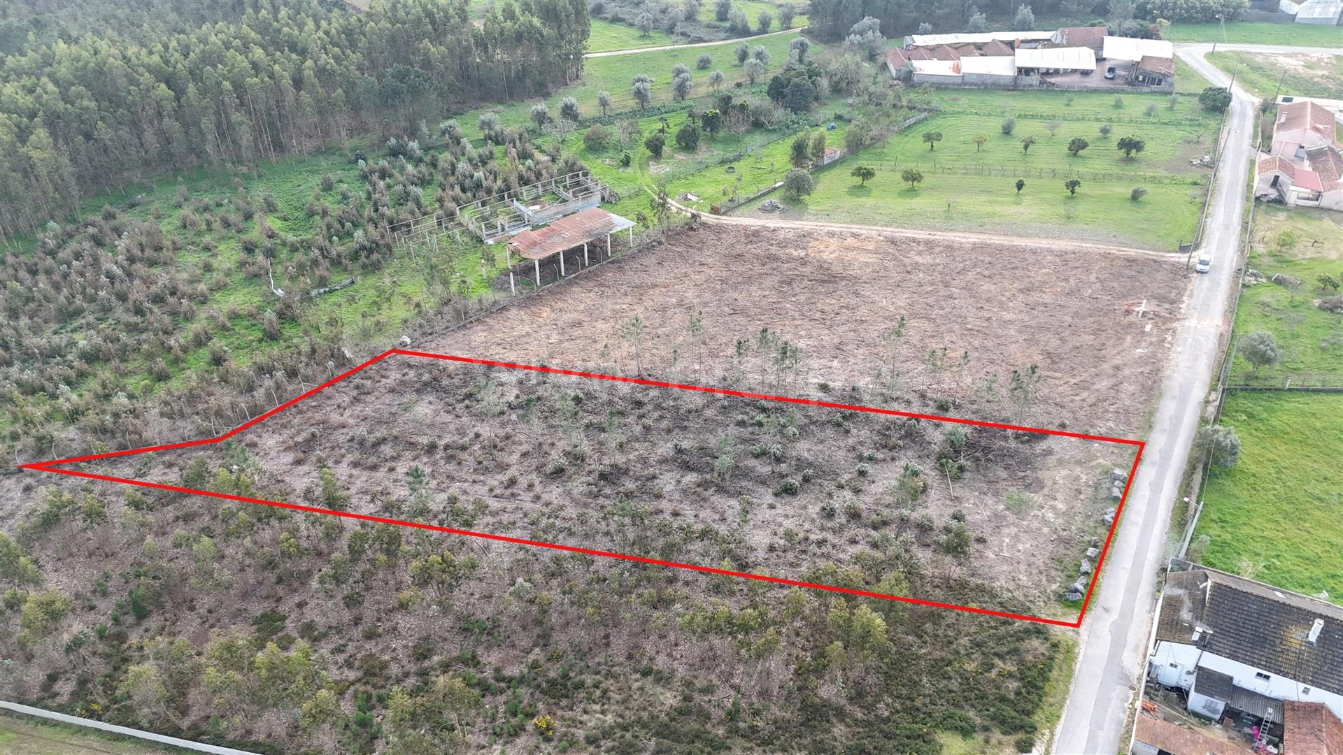 Land for sale in Pombal, Portugal — €50,000