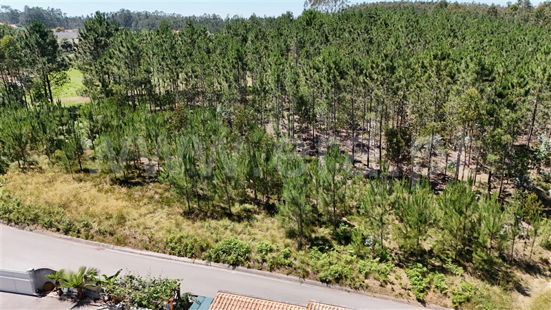 Terreno para Construção  Pombal, Carnide - 1410463 - 6