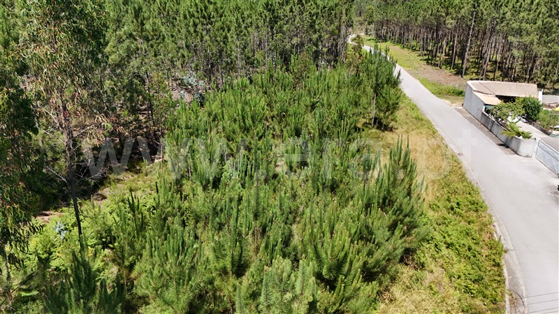 Terreno para Construção  Pombal, Carnide - 1410463 - 7