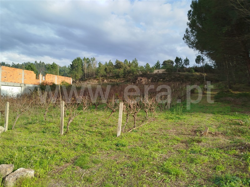 Terreno para Construção / Pombal, LOURIÇAL