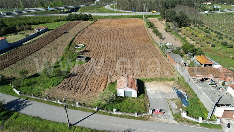 Terreno para Construção / Pombal, LOURIÇAL