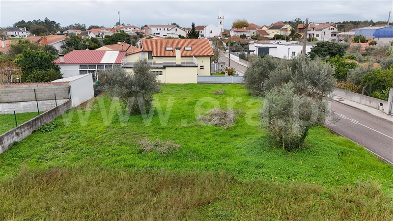 Terreno para Construção  com Urbano Pombal, PELARIGA - 1443390 - 8