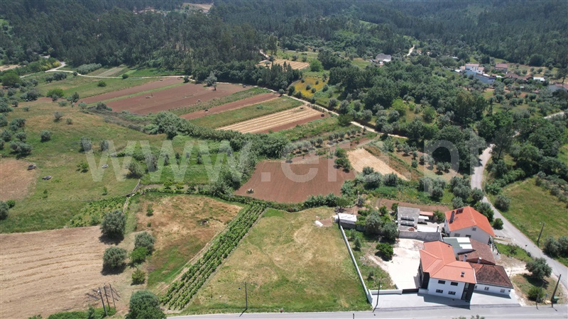 Terreno  Pombal, PELARIGA - 1485008 - 7