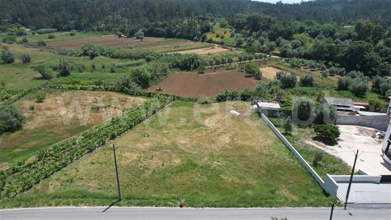 Terreno  Pombal, PELARIGA - 1485008 - 9