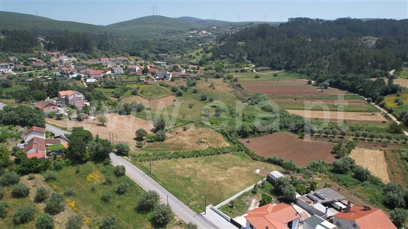 Terreno  Pombal, PELARIGA - 1485008 - 13