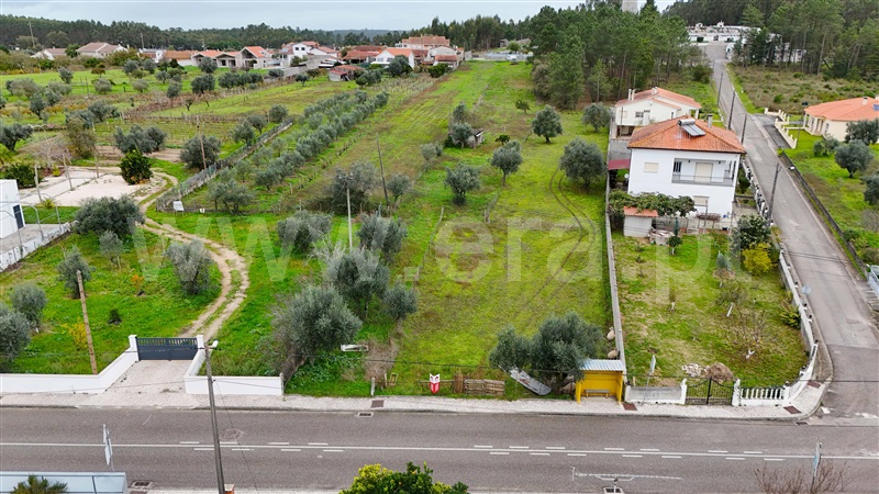 Terreno para Construção  Pombal, POMBAL - 1442336 - 5