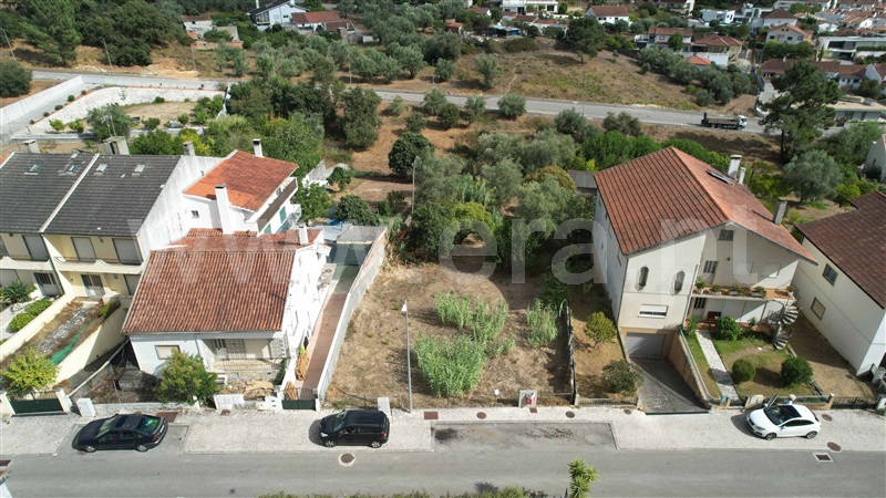 Lote  Pombal - 1504557 - 12
