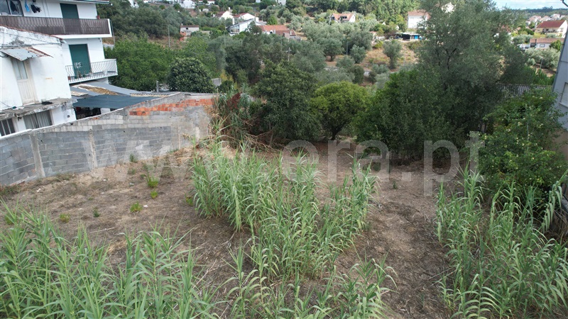 Lote  Pombal - 1504557 - 13
