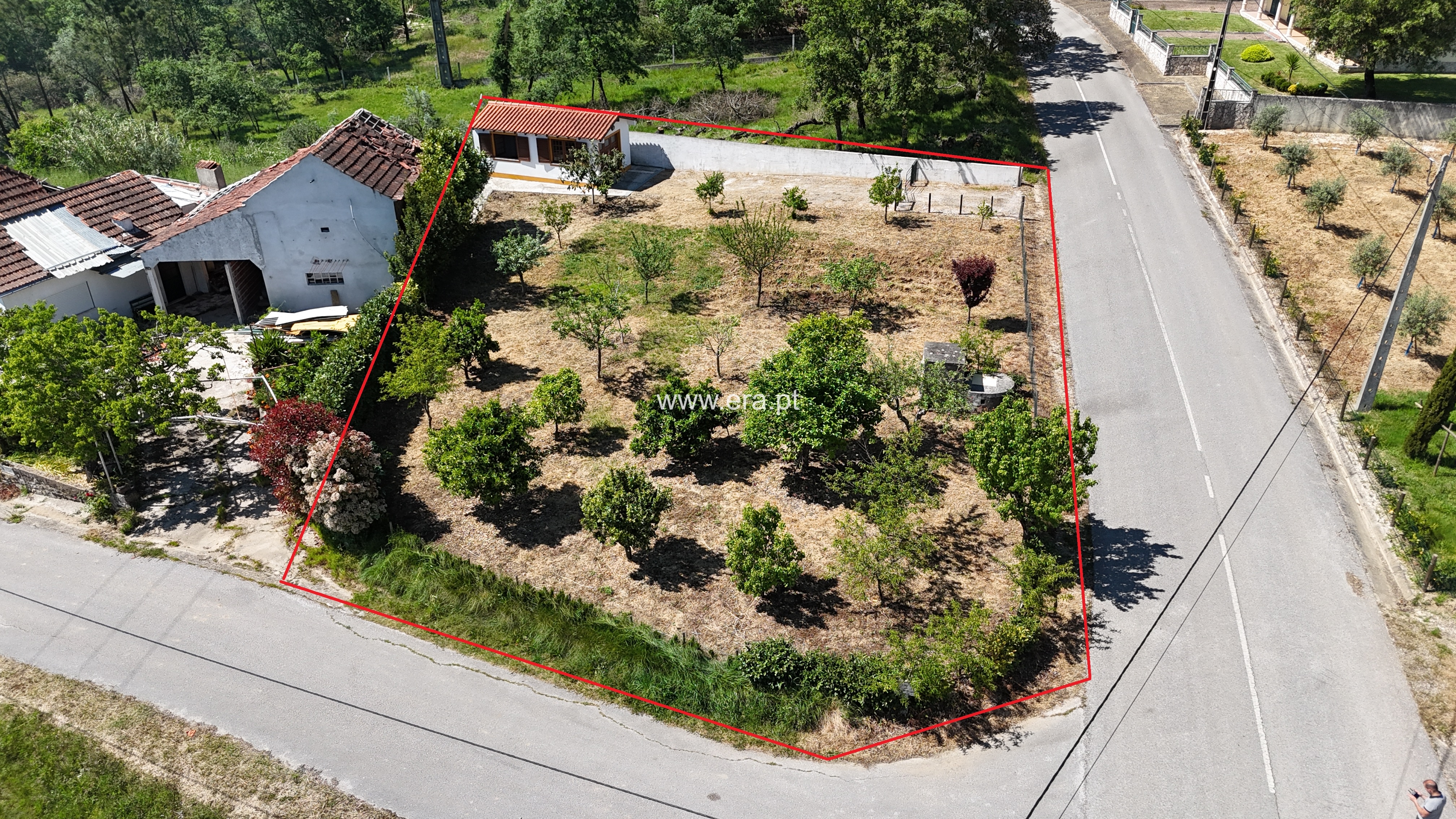 Terreno para Construção / Pombal, POMBAL