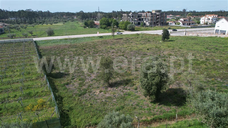 Terreno para Construção  Pombal, Vermoil - 1277738 - 15