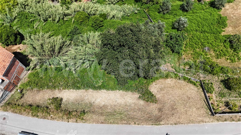 Terreno Urbano  Pombal, Vermoil - 1486040 - 8