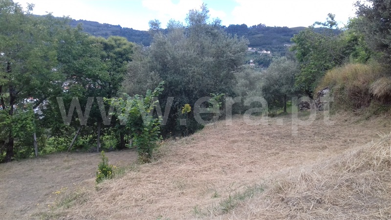 Terreno para Construção  Ponte da Barca, Vade (São Pedro) - 1018414 - 4