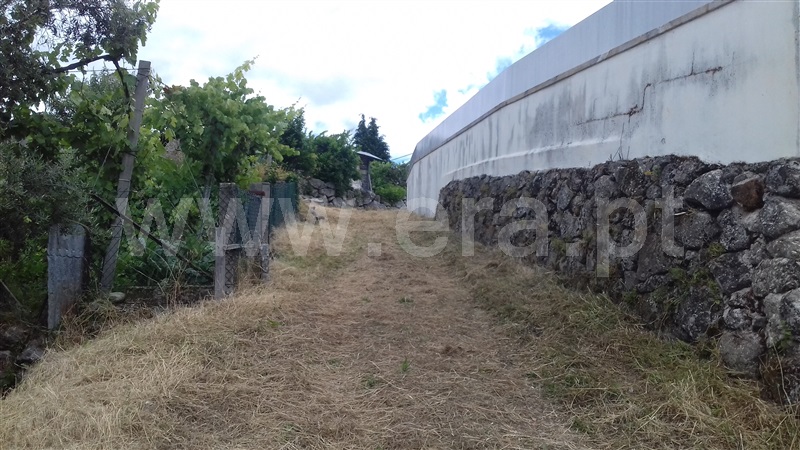 Terreno para Construção  Ponte da Barca, Vade (São Pedro) - 1018414 - 5