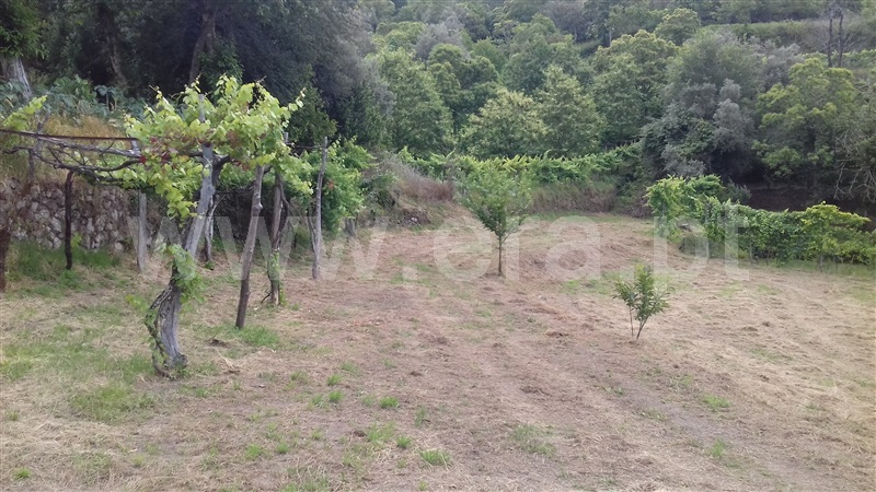 Terreno para Construção  Ponte da Barca, Vade (São Pedro) - 1018414 - 3