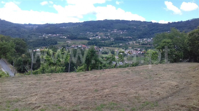 Terreno para Construção  Ponte da Barca, Vade (São Pedro) - 1018414 - 2