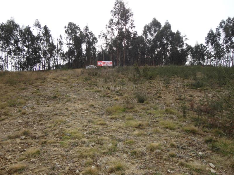 Terreno para Construção / Ponte de Lima, Anais