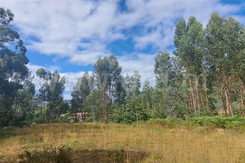 Terreno para Construção  Ponte de Lima, Arca - 1352069 - 1