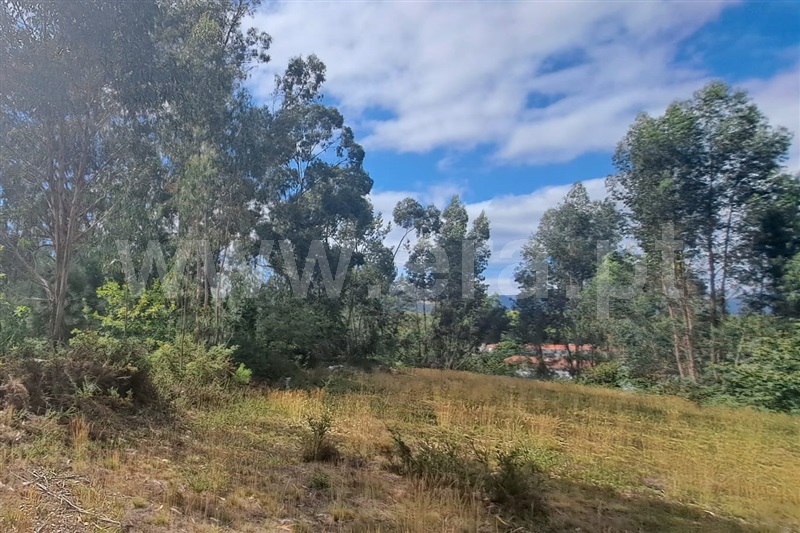 Terreno para Construção  Ponte de Lima, Arca - 1352069 - 2